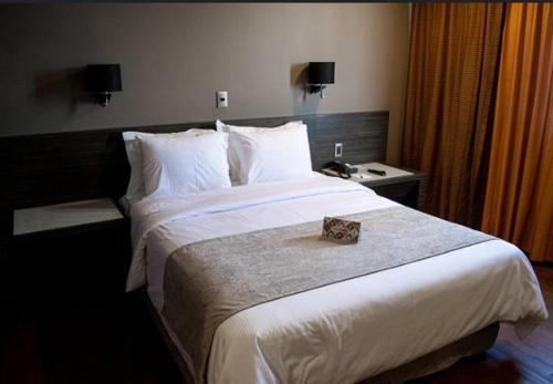 HOTEL ZELA INN Tacna Perú
