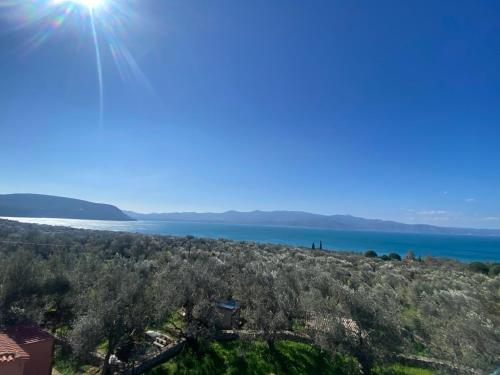 Presidential Sea View Presidential Sea View