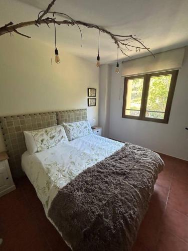 Paraíso Desconocido 6. El Sueño de Valcabe (Paraiso Desconocido 6. El Sueno de Valcabe) in Triollo