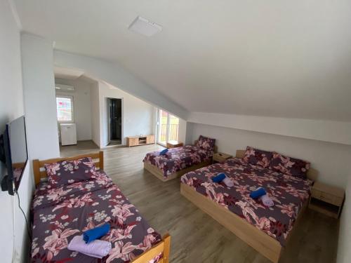 RISTESKI GUEST HOUSE in Elshani