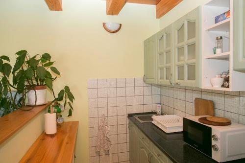 ห้องครัว, Güns Vendégház (Guns Vendeghaz) in ซิคลิเกท