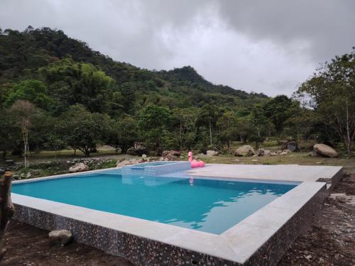 Alrededores, Hostería CASA SAN LUIS (Hosteria CASA SAN LUIS) in Mindo