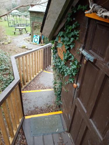 The Little Lodge in Glengariff