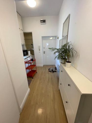 One-Bedroom Apartment image 5