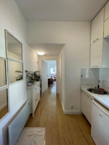 One-Bedroom Apartment image 4