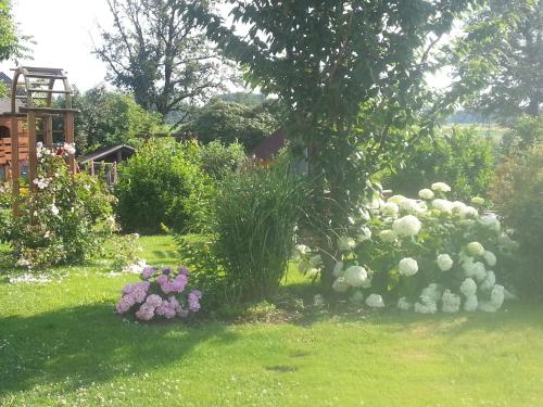 兹塔斯巴瓦农家乐 兹塔斯巴瓦农家乐