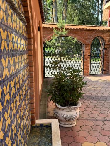 Vila Luminita Vila Luminita