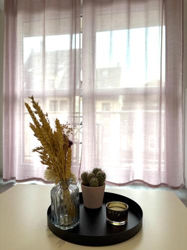 Studio lumineux dans ancien Cronenbourg, Strasburgo (foto 5)