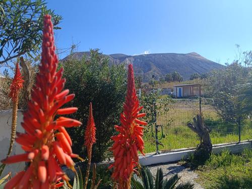 Garden & Sea, Vulcano (zdjęcie 5)