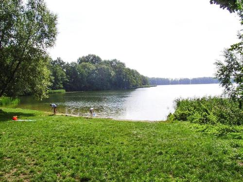 Apkārtne, Ferienhaus am Dummer See, Perlin in Perlin