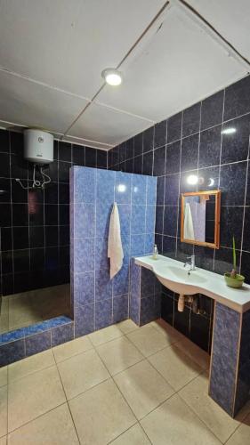 浴室, Salma's in 丹尼斯角