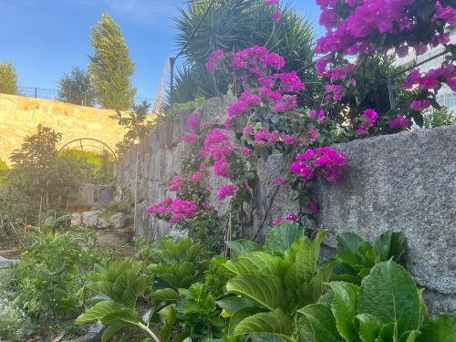 Hidden Gem near city center- garden, outdoor kitchen, sauna, Porto (photo 3)