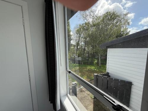 Garden, Inglewood shared Home BNB in Inglewood