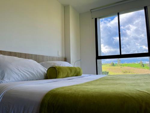 Habitación Estándar - Hotel Rioverde Habitación Estándar - Hotel Rioverde