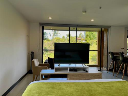 Habitación Estándar - Hotel Rioverde Habitación Estándar - Hotel Rioverde