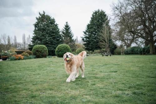 Broom Hall Country Hotel 4