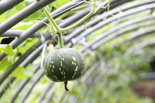 Yang Ming Shan Tien Lai Resort & Spa