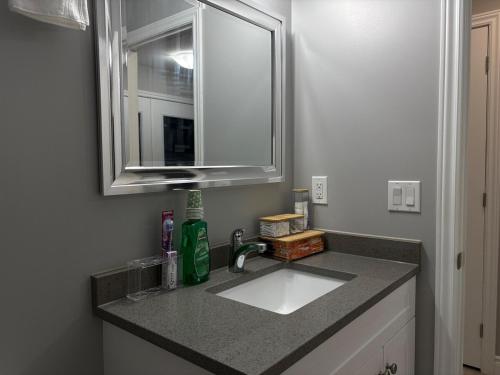 Executive Home in Windsor close to the airport, Windsor (zdjęcie 6)