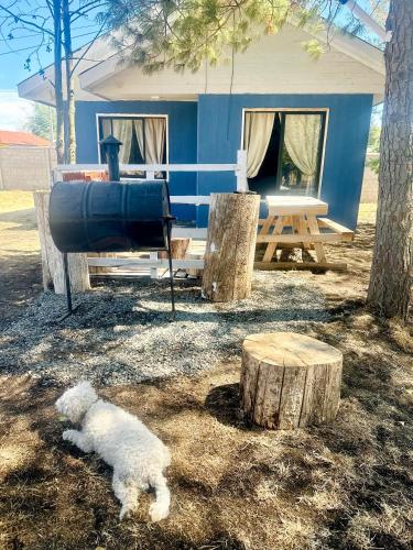 บริการและสิ่งอำนวยความสะดวก, Cabaña rincón del salto (Cabana rincon del salto) in ซัลโตเดลลาคา