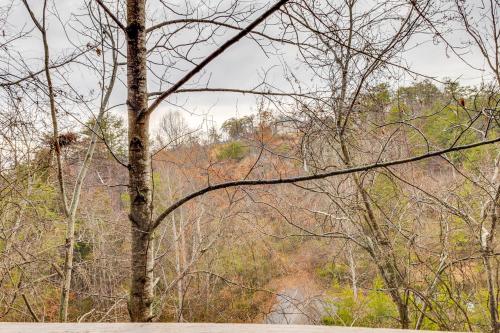 Pigeon Forge Resort Studio Cabin on Dollywood Ln! - image 23