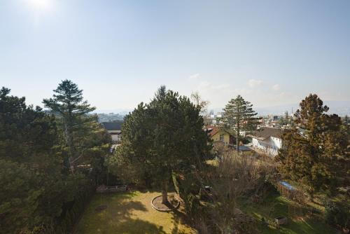 Pension Garden, Vienne (photo 3)