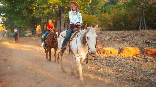 ABODE at East Zion in The Fields - image 3