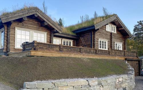 . Pet Friendly Home In Hovden I Setesdal