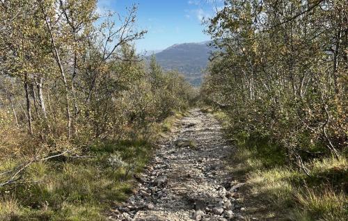 Pet Friendly Home In Hovden I Setesdal