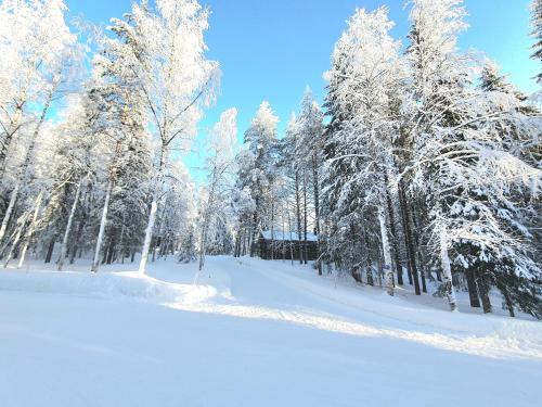 Kelorinne ladun ja järven läheisyydessä