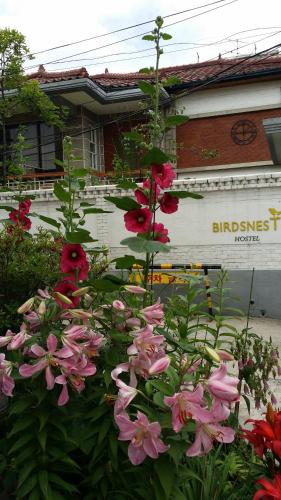 Birdsnest Hostel Hongdae Foreigner only, Seul (zdjęcie 6)
