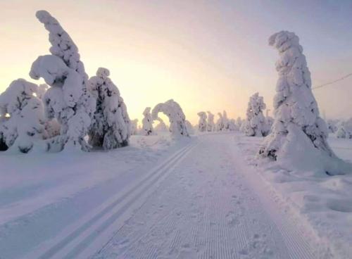Kelorinne ladun ja järven läheisyydessä