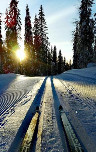 Kelorinne ladun ja järven läheisyydessä