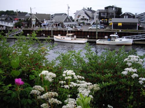 Perkins Cove Gem - Q934 Perkins Cove Gem - Q934