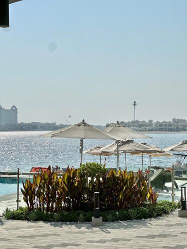 Royal bay Azizi Palm Jumeirah, Дубай (фото 3)