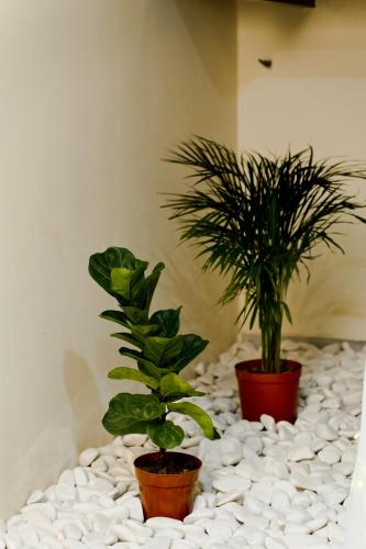 Duke Oasis, Kuala Lumpur (photo 9)