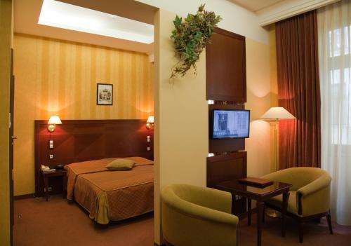 Hotel Wawel, Krakov (fotografie 10)
