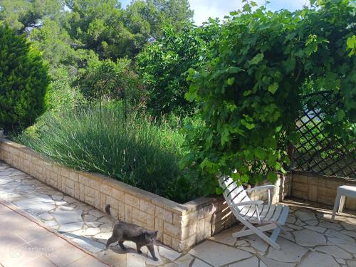 Giardino, Grand Chalet at Villa Don Quijote Nice in Malgarach