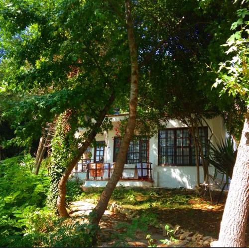 ayisigi apart otel in sinop turkey reviews prices planet of hotels