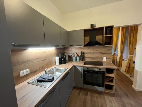 Wohnperle: zentrumsnah*ruhig*Familienbett*2 SZ, Drážďany (fotografie 10)