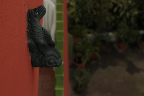 Hostal Plaja - image 7