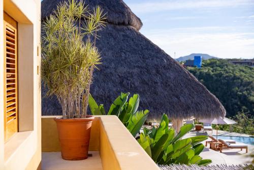 Udsigt, Casa Palomir in Costa Careyes
