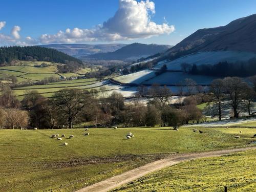 Tyn Llwyn Llangollen - image 12