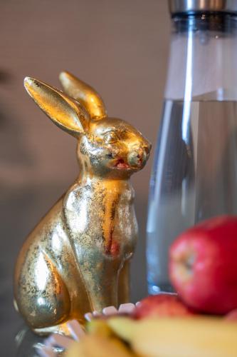 Spacious Apartment with Terrace and Roche View - Special ROGER F RABBIT 1 Apartment, Basel, up to 6 guests, Basilej (fotografie 8)