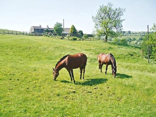 The Barn Cottage in Worth Valley