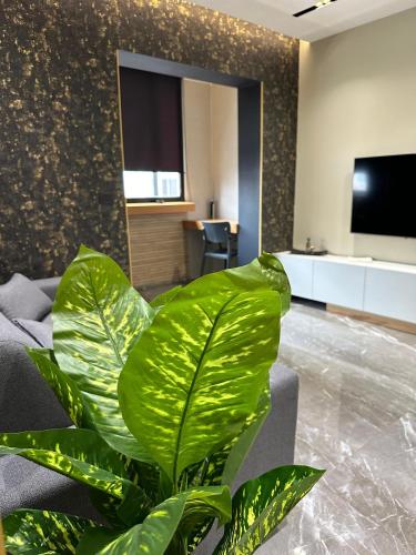 One-Bedroom Apartment image 3