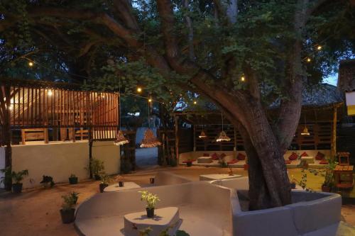 Pemandangan, Stay Pura Vida in Teluk Arugam