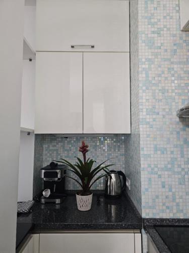 MAin Apartment Blloku 1 - image 5