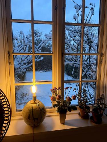 Beautiful townhouse close to the center, Kodaň (fotografie 2)