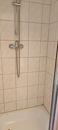 Apartment Karlovy Vary in Karlovy Vary