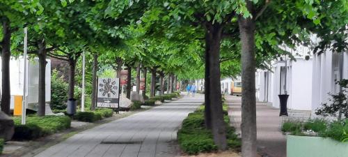 2-Zimmer-Ferienwohnung-in-Sellin-auf-Ruegen-direkt-an-der-Seeparkpromenade, Sellin (zdjęcie 9)